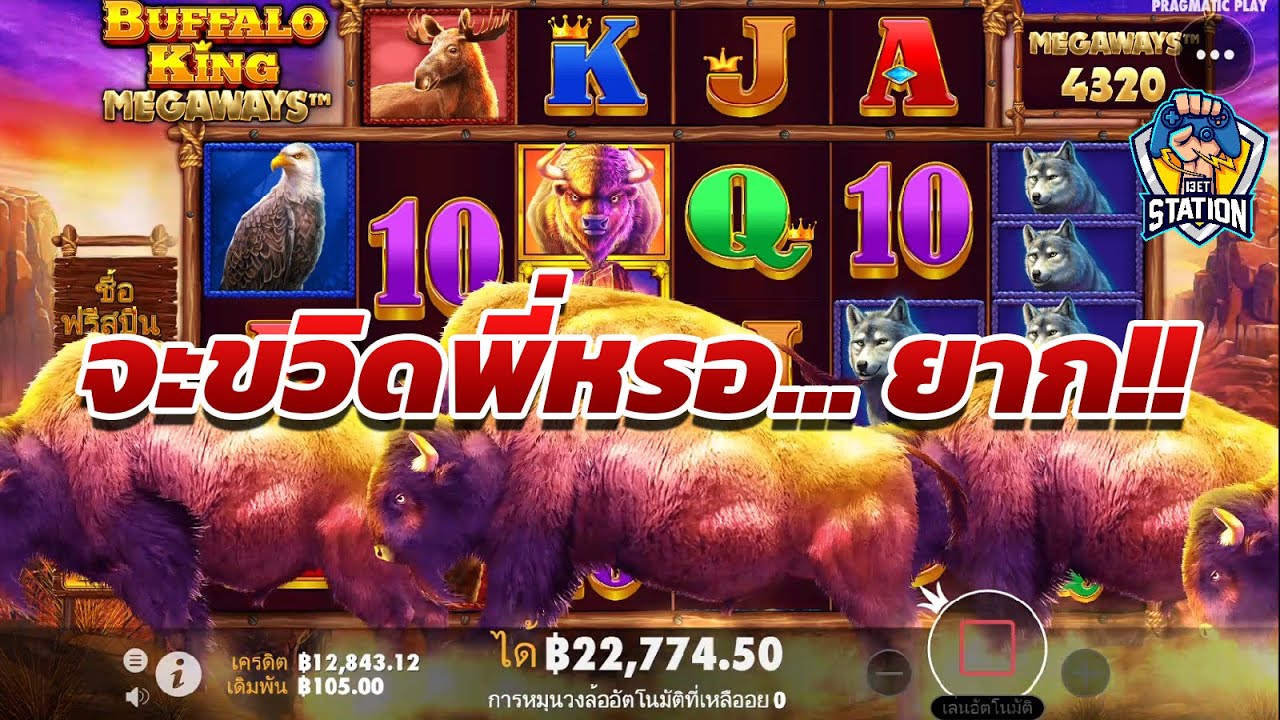 เกมค่ายPP Pragmatic Play ➤ Buffalo King™ พักได้พัก พักไม่ได้กดต่อ