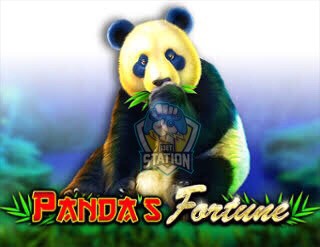 รีวิวเกมสล็อต PP : Pandas Fortune แพนด้าโชคดี