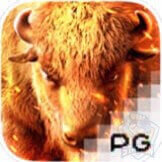 รีวิวเกมสล็อต PG : Buffalo Win ควายชนะ